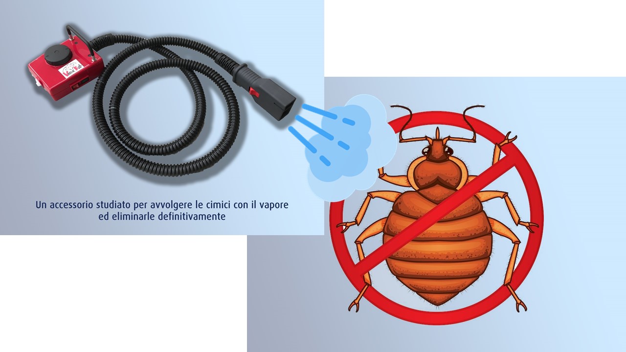 come eliminare le cimici dei letti